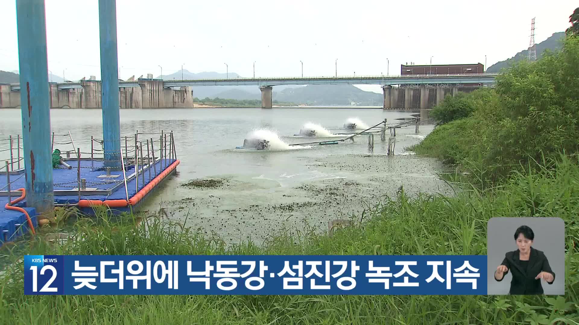 [기후는 말한다] 늦더위에 낙동강·섬진강 녹조 지속