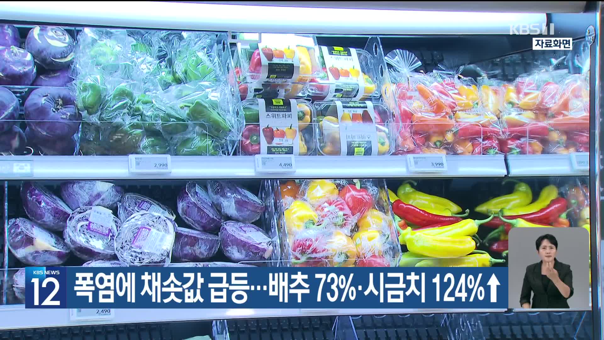 폭염에 채솟값 급등…배추 73%·시금치 124%↑