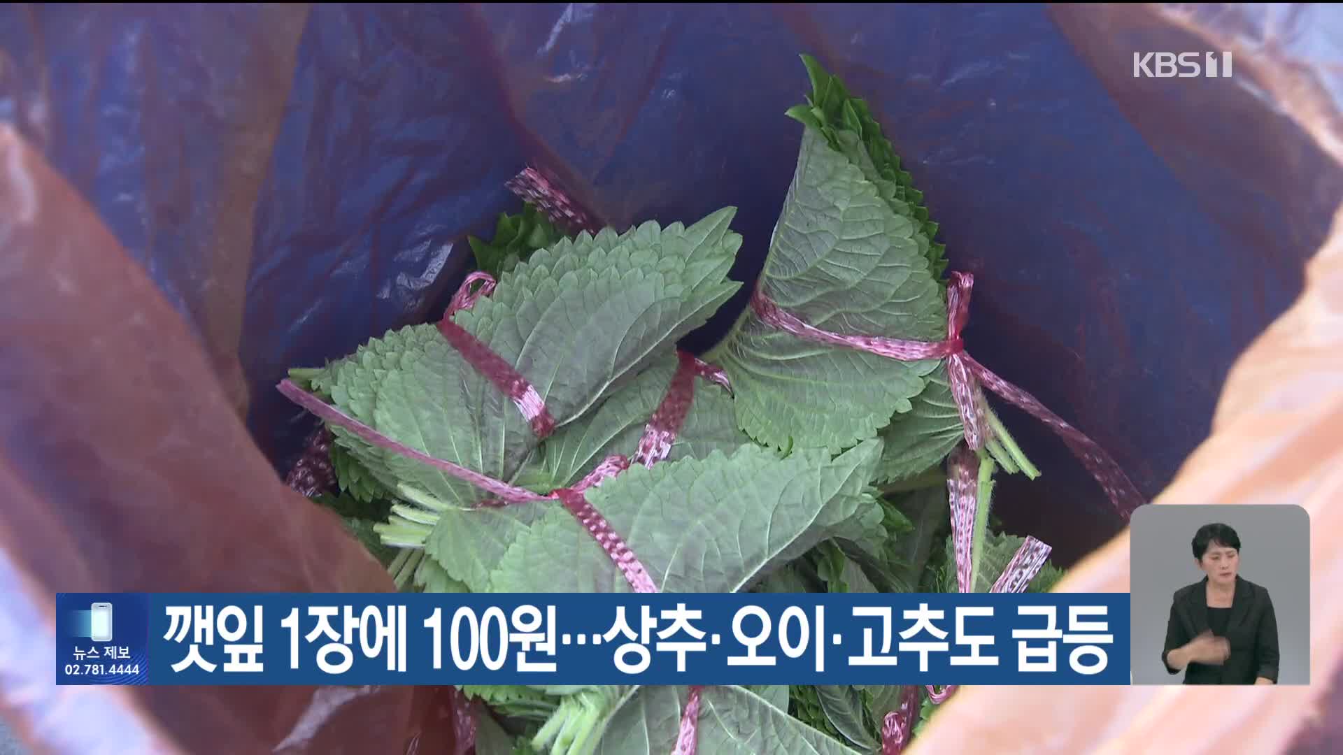 [기후는 말한다] 깻잎 1장에 100원…상추·오이·고추도 급등