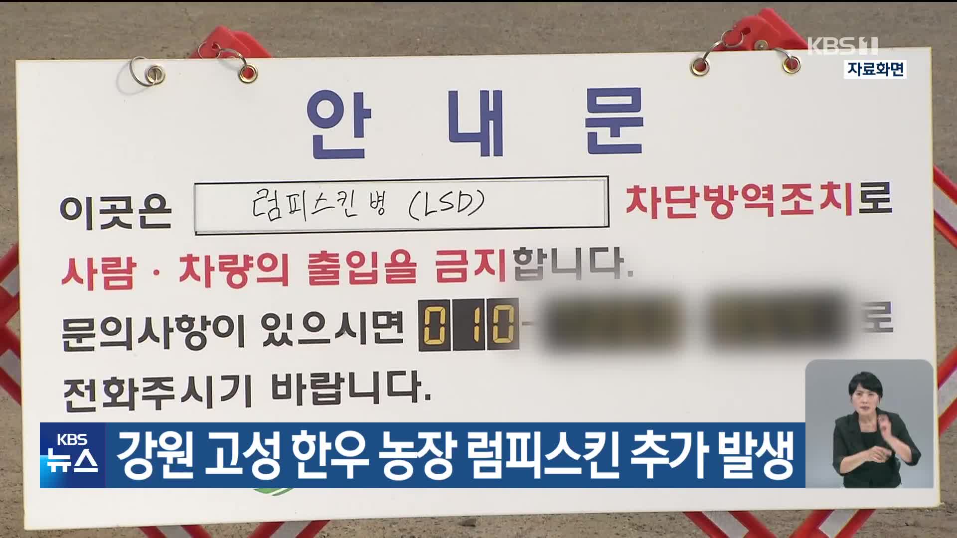 강원 고성 한우 농장 럼피스킨 추가 발생