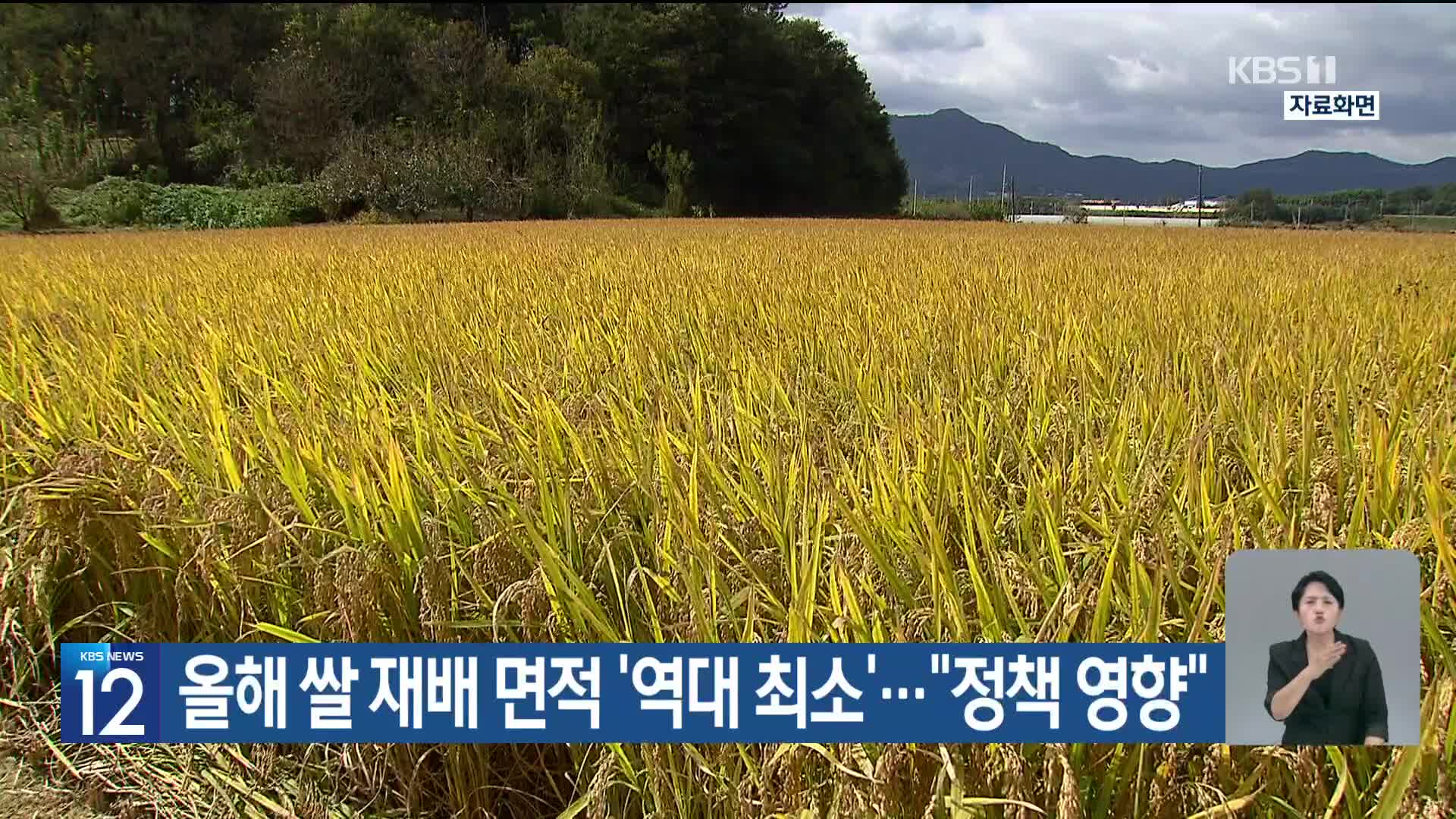 올해 쌀 재배 면적 ‘역대 최소’…“정책 영향”