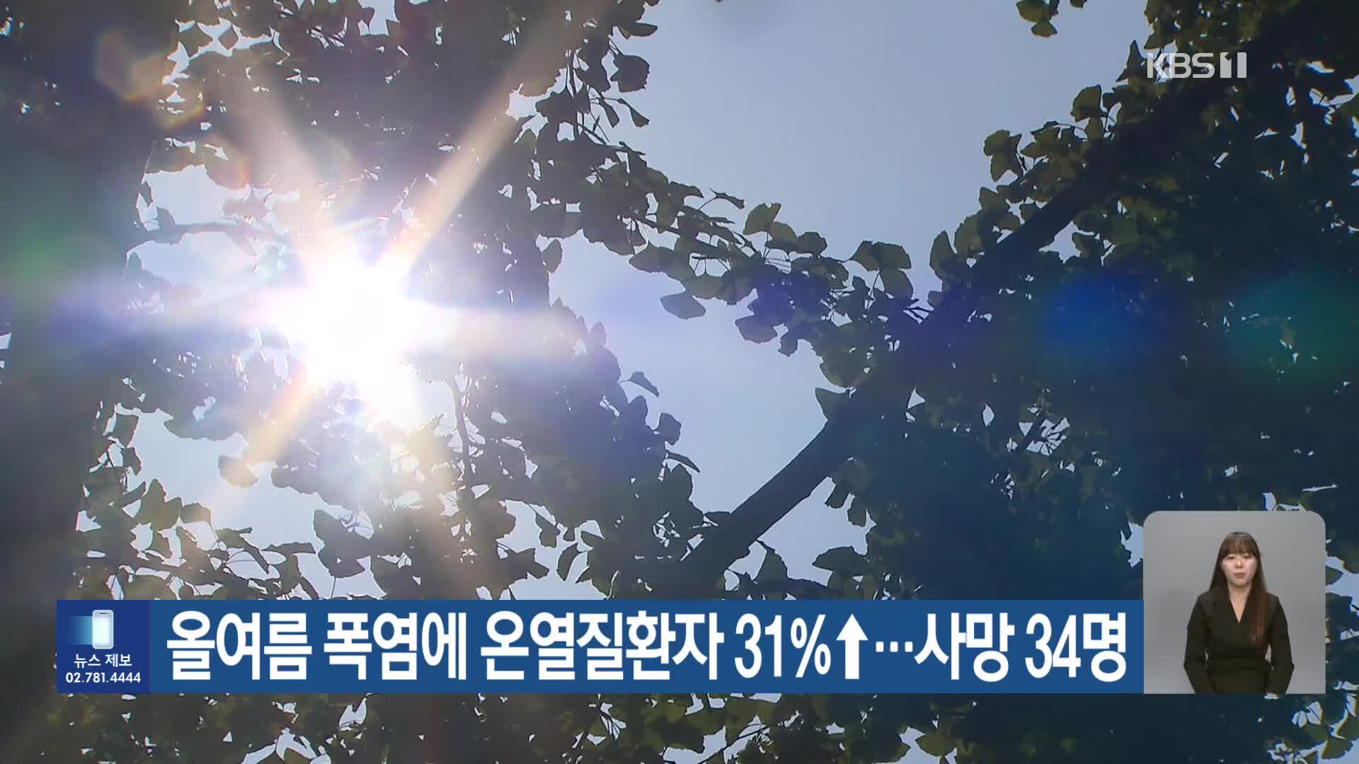 올여름 폭염에 온열질환자 31%↑…사망 34명