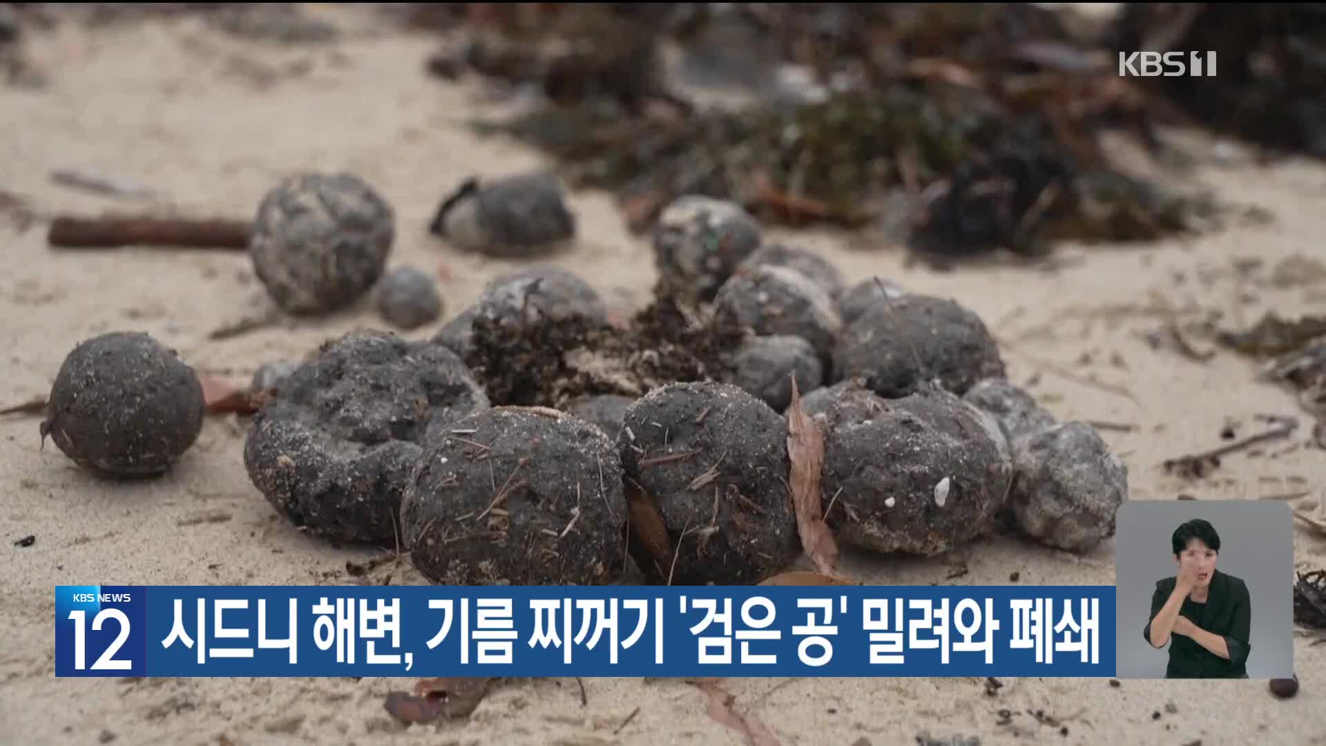 [기후는 말한다] 시드니 해변, 기름 찌꺼기 ‘검은 공’ 밀려와 폐쇄