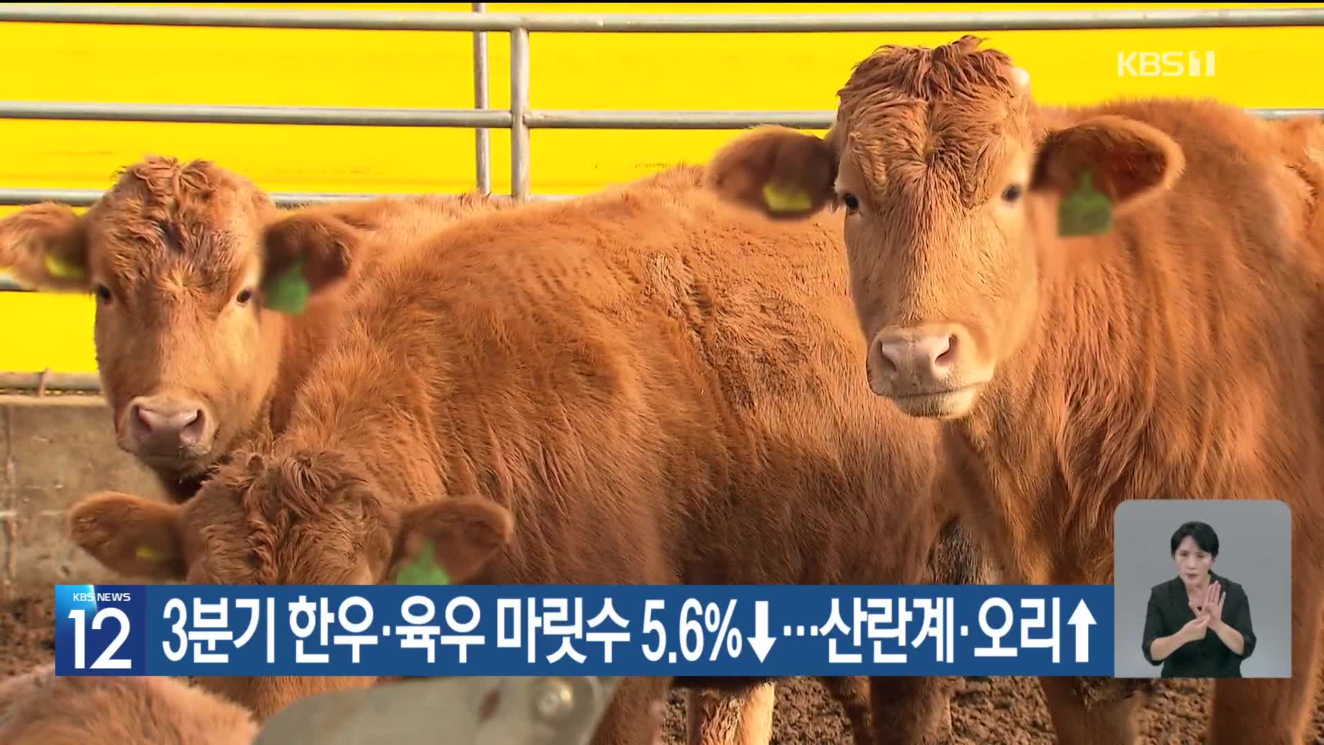 3분기 한우·육우 마릿수 5.6%↓…산란계·오리↑