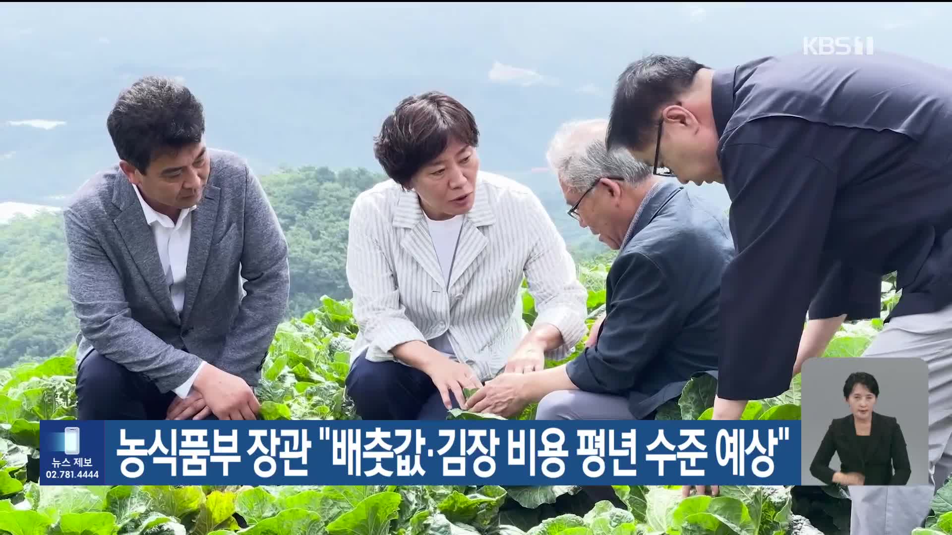 농식품부 장관 “배춧값·김장 비용 평년 수준 예상”