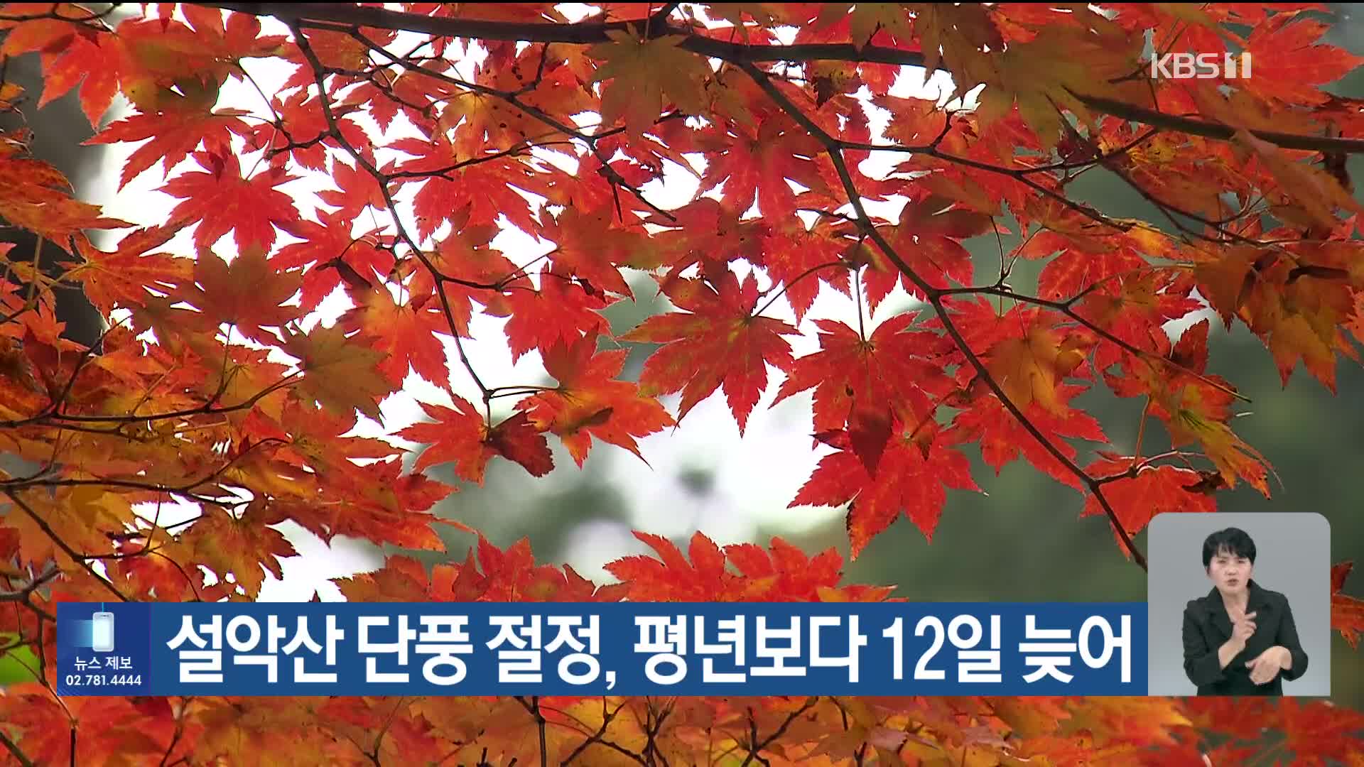 [기후는 말한다] 설악산 단풍 절정, 평년보다 12일 늦어