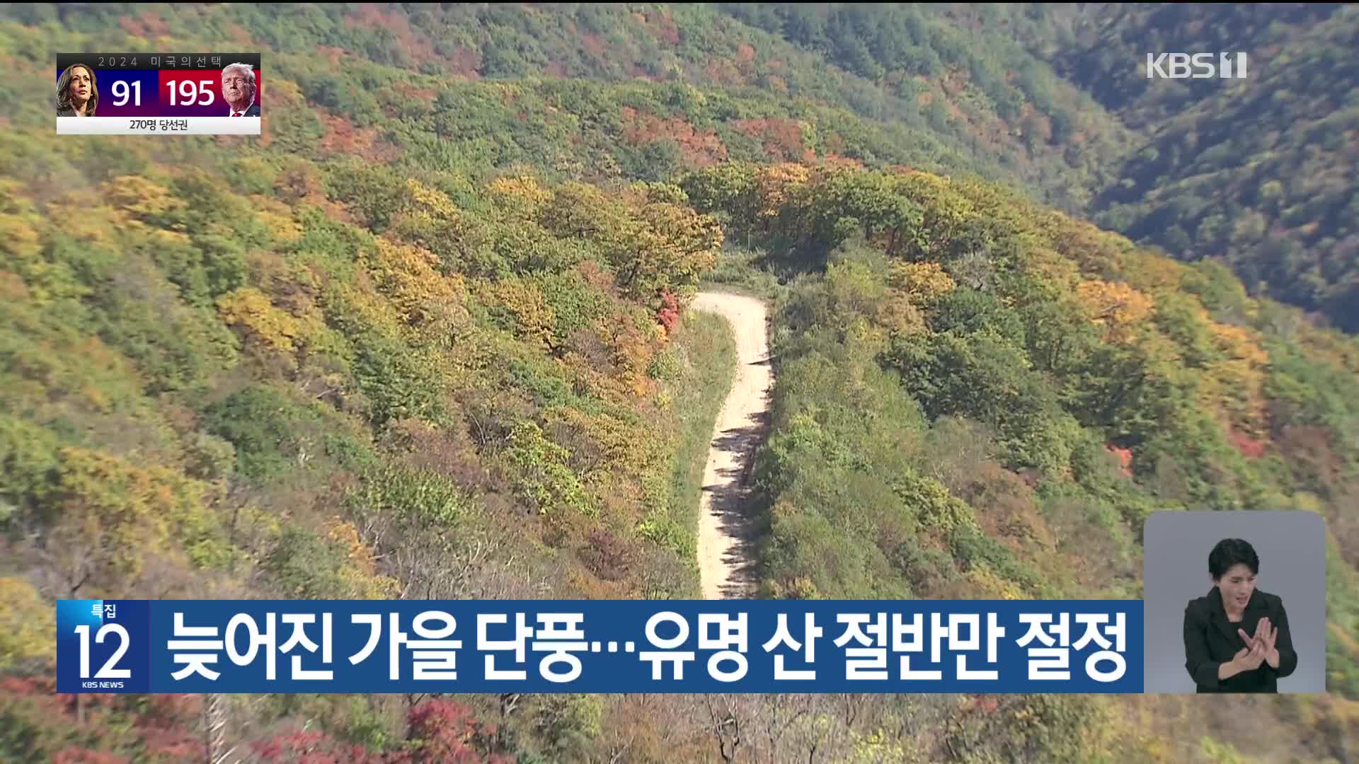 [기후는 말한다] 늦어진 가을 단풍…유명 산 절반만 절정