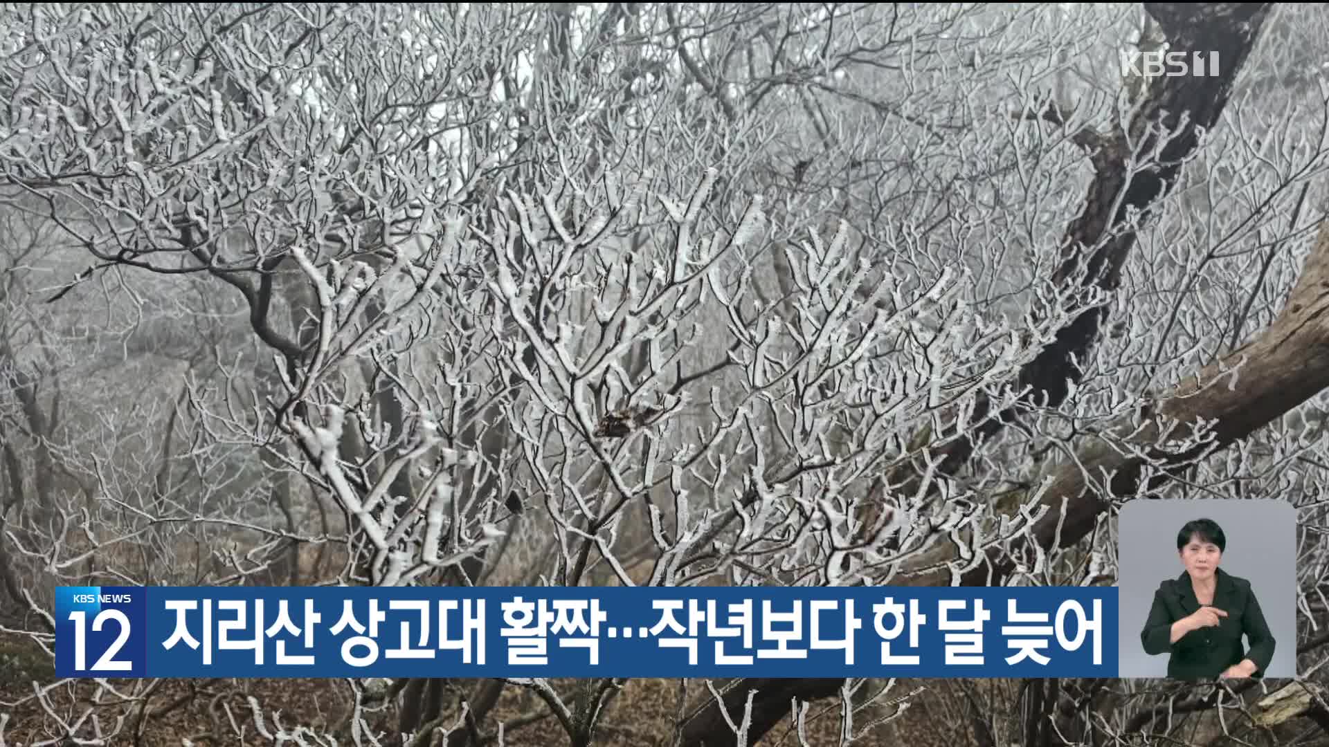 [기후는 말한다] 지리산 상고대 활짝…작년보다 한 달 늦어