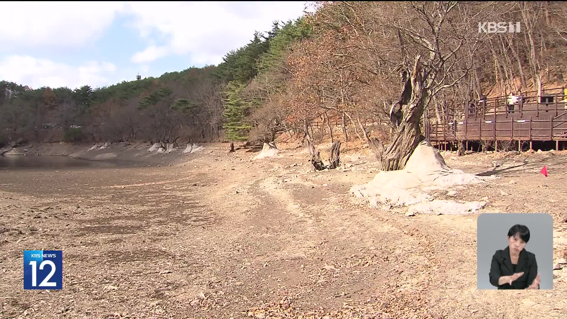 [기후는 말한다] 청송의 명승 ‘주산지’ 왕버들 복원 개시