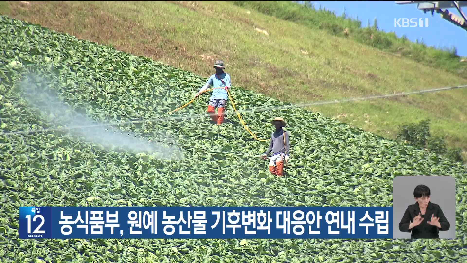 [기후는 말한다] 농식품부, 원예 농산물 기후변화 대응안 연내 수립