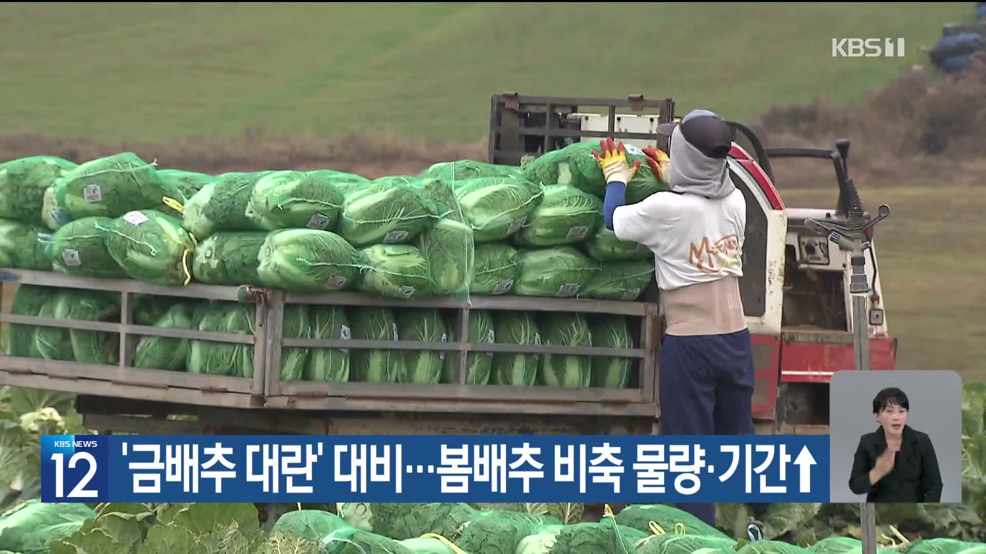 [기후는 말한다] ‘금배추 대란’ 대비…봄배추 비축 물량·기간↑