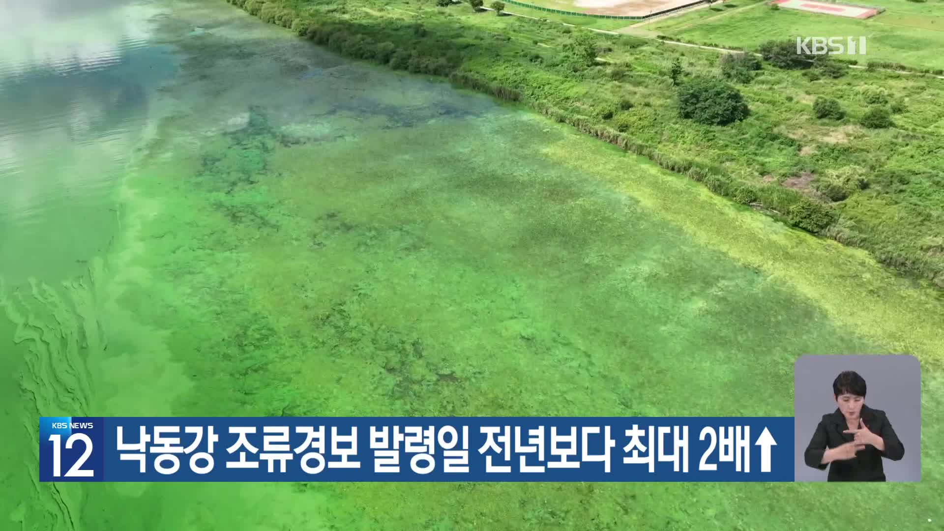 [기후는 말한다] 낙동강 조류경보 발령일 전년보다 최대 2배↑