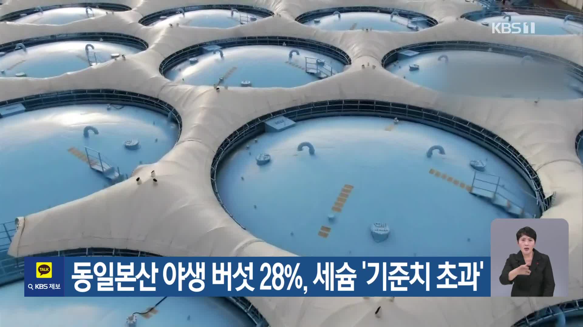 [기후는 말한다] 동일본산 야생 버섯 28%, 세슘 ‘기준치 초과’