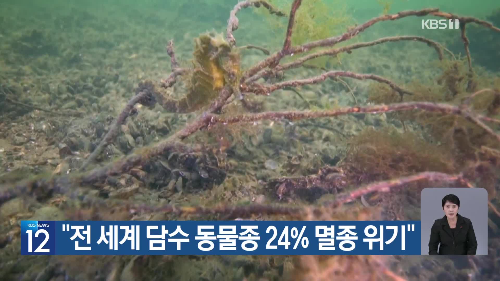 [기후는 말한다] “전 세계 담수 동물종 24% 멸종 위기”