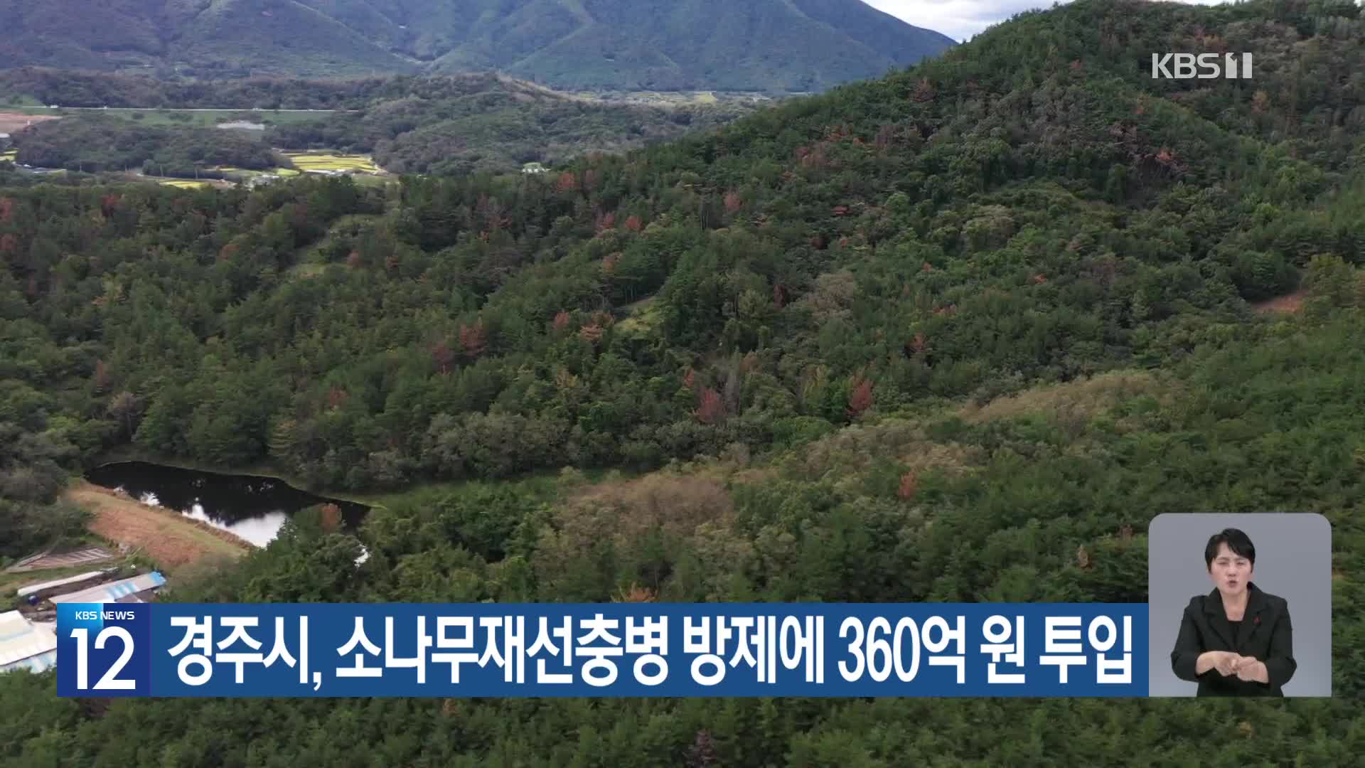 [기후는 말한다] 경주시, 소나무재선충병 방제에 360억 원 투입