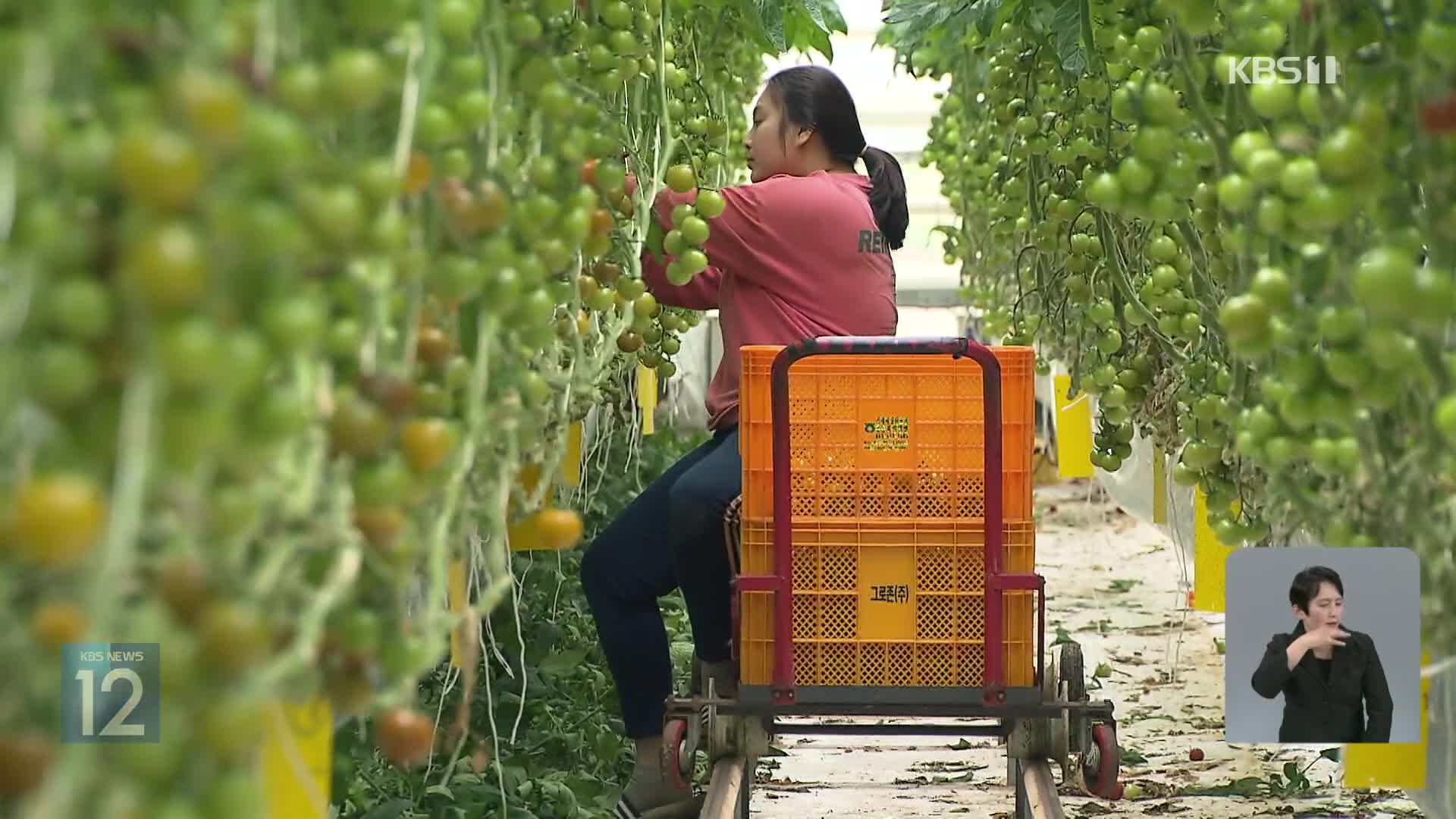 [기후는 말한다] 농업도 저탄소 바람…기후변화 해법 될까?