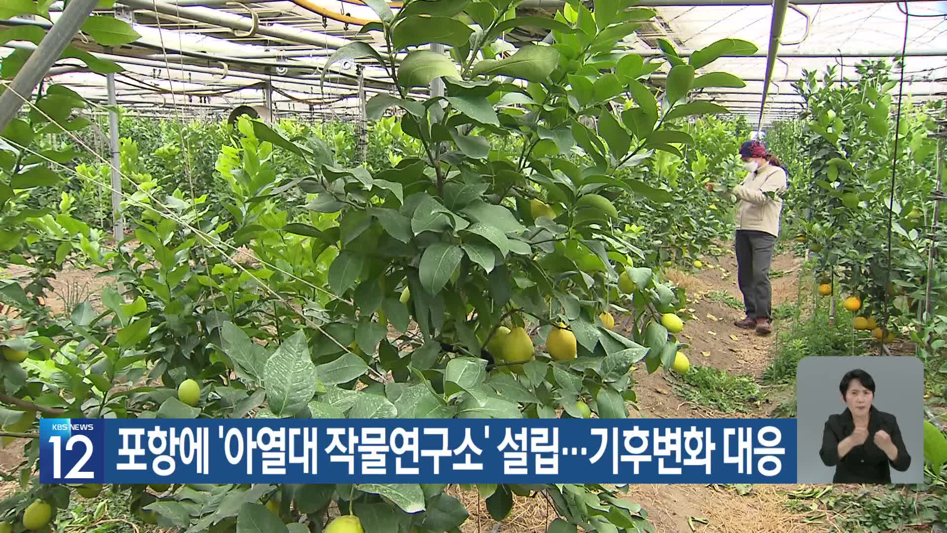 [기후는 말한다] 포항에 ‘아열대 작물연구소’ 설립…기후변화 대응