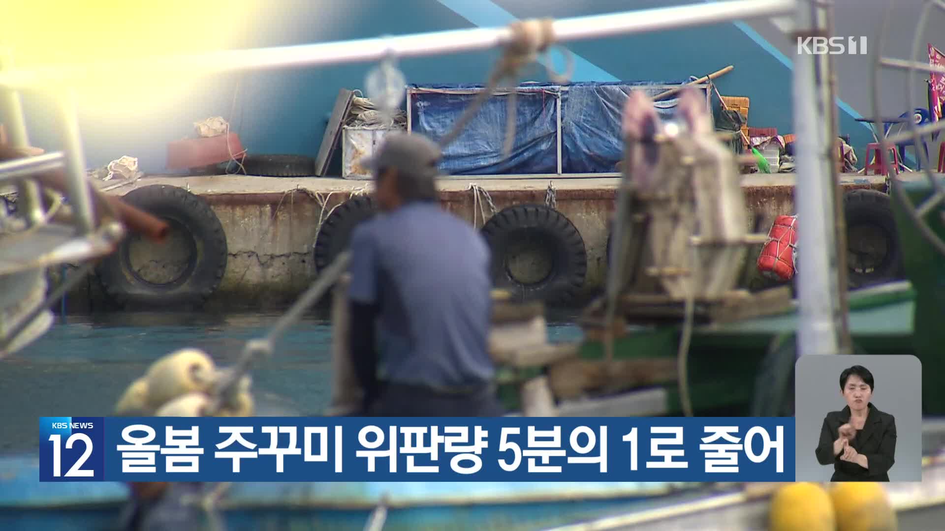 [기후는 말한다] 올봄 주꾸미 위판량 5분의 1로 줄어