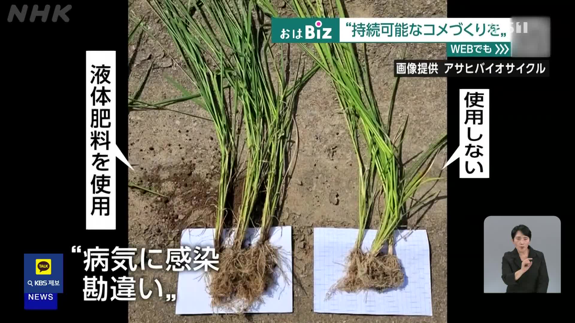 일본, 일손 부족에 맞선 실험 ‘물 안 대는 논’