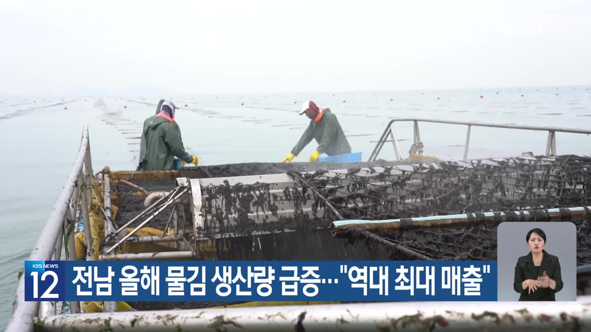 [기후는 말한다] 전남 올해 물김 생산량 급증…“역대 최대 매출”