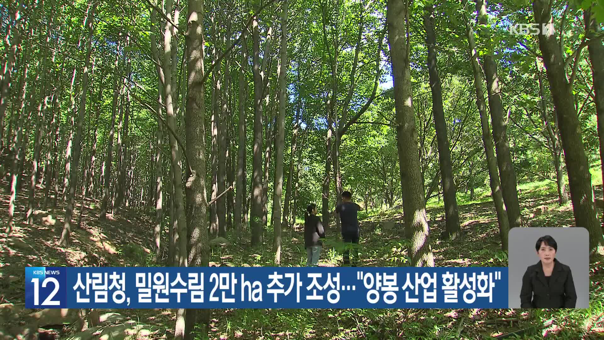 [기후는 말한다] 산림청, 밀원수림 2만ha 추가 조성…“양봉 산업 활성화”