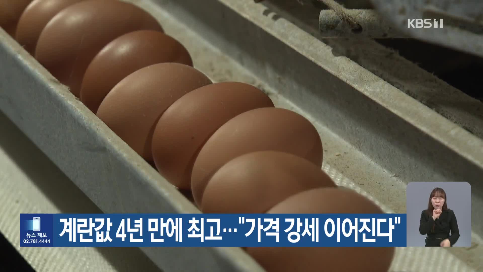 계란값 4년 만에 최고…“가격 강세 이어진다”