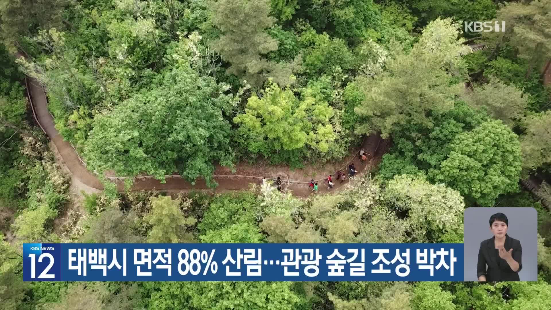 [기후는 말한다] 태백시 면적 88% 산림…관광 숲길 조성 박차