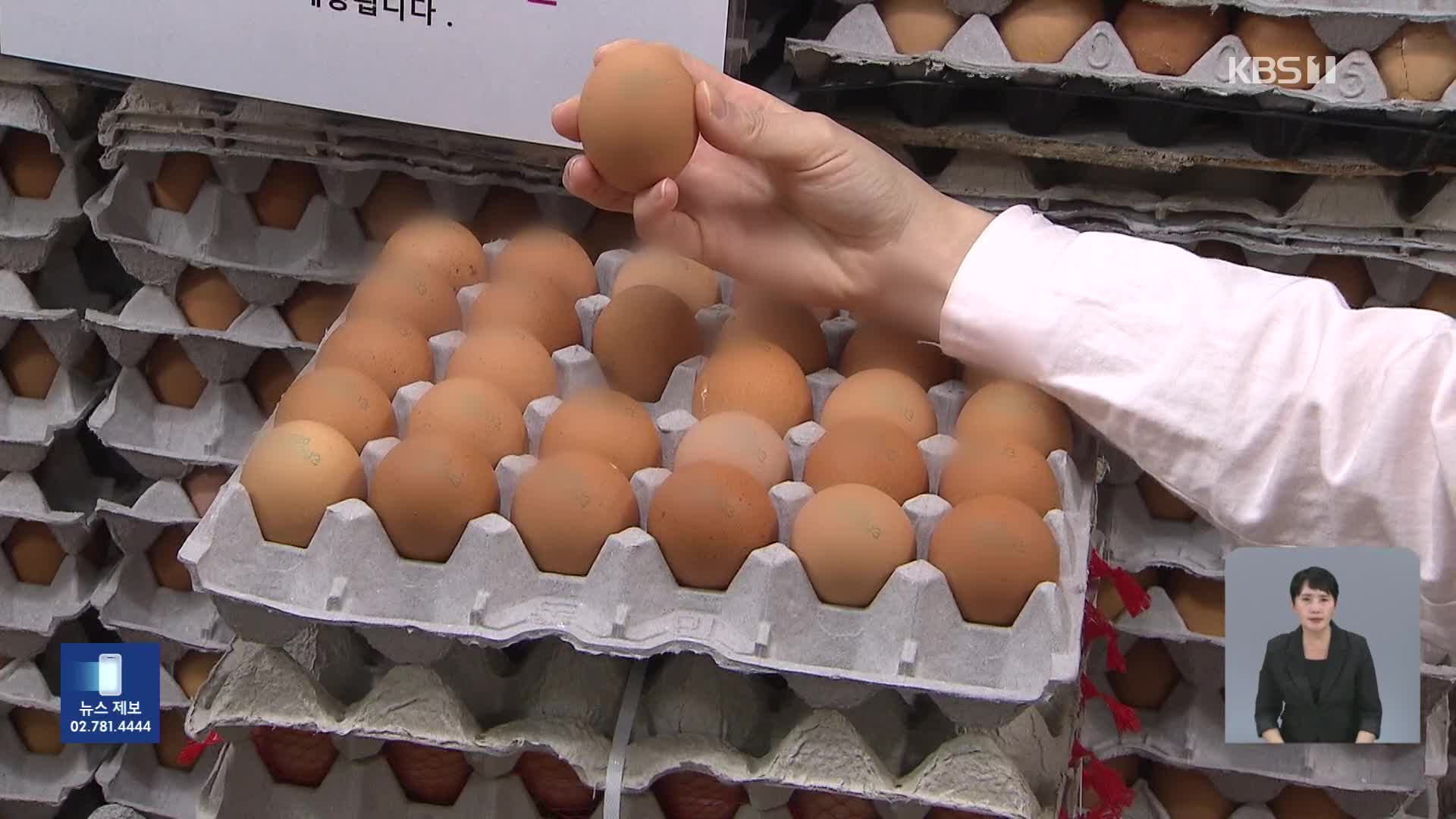 “계란값 담합 조사·가격 투명화”…밥상 물가 잡힐까
