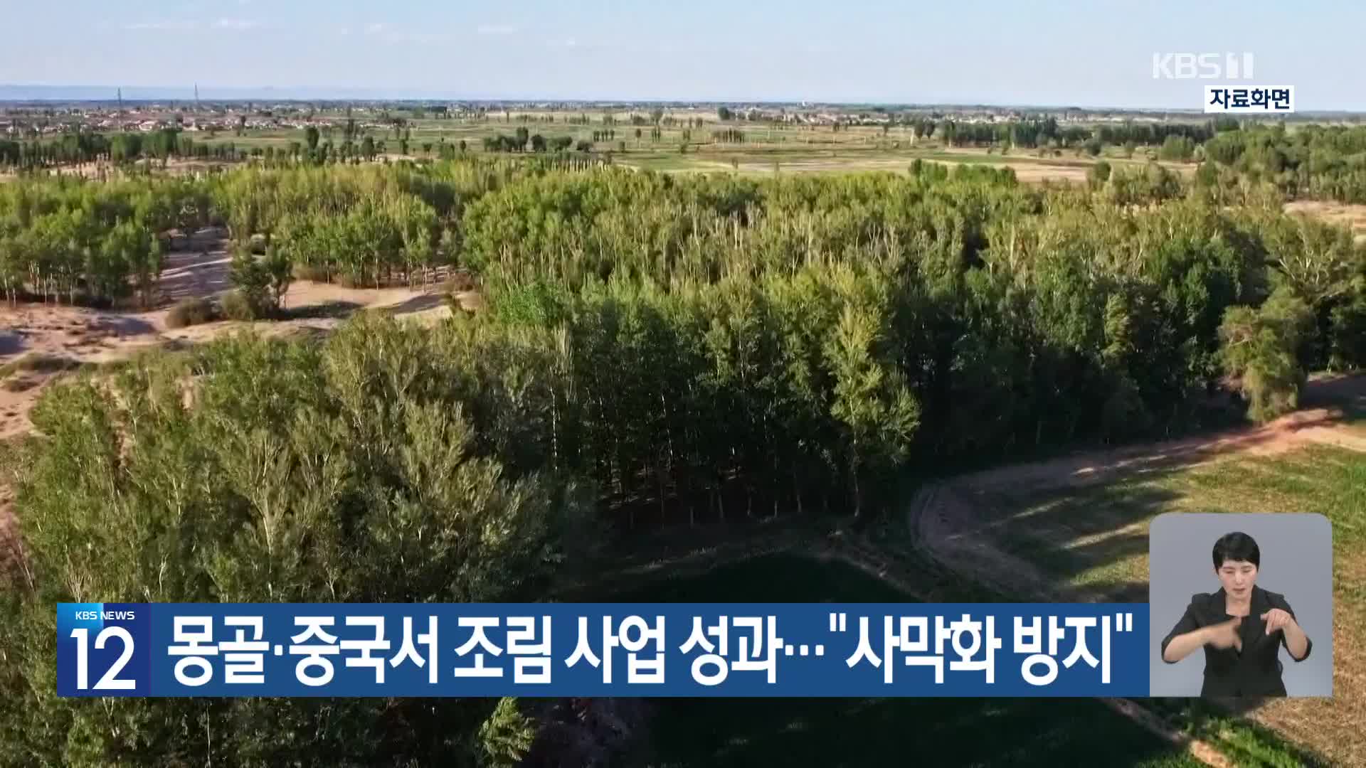 [기후는 말한다] 몽골·중국서 조림 사업 성과…“사막화 방지”
