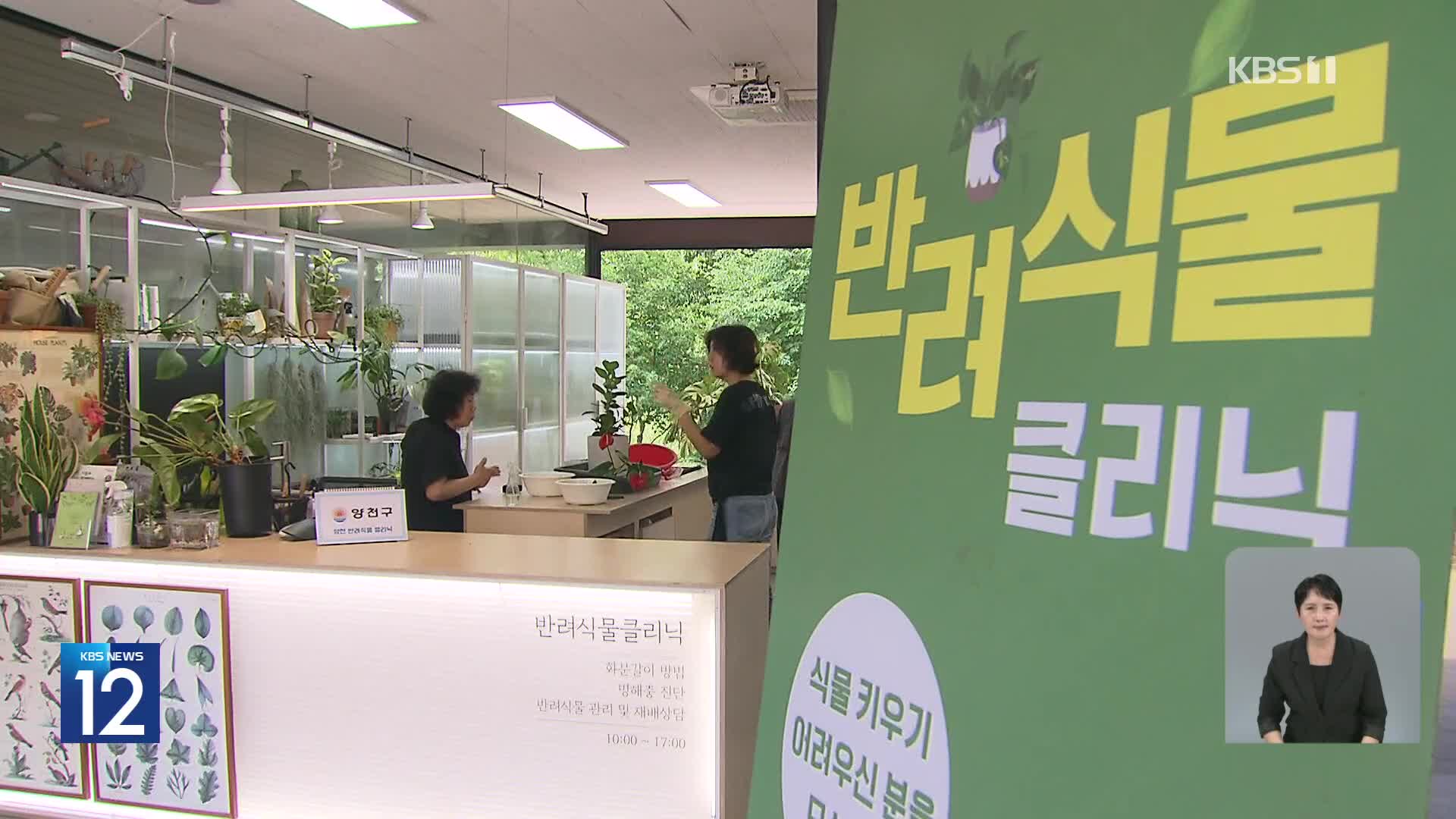 “아픈 식물 치료합니다!”…반려식물로 우울감 해소