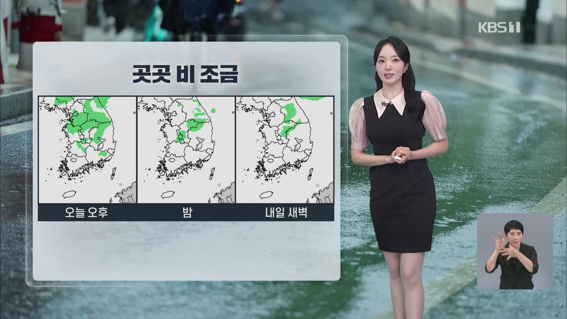 [오후날씨 꿀팁] 밤까지 오락가락 비…더위 주춤