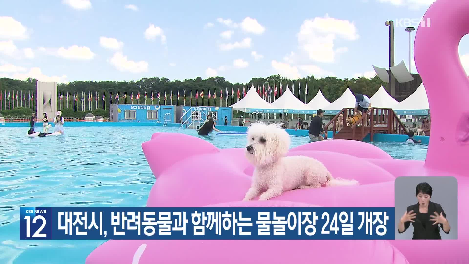[기후는 말한다] 대전시, 반려동물과 함께하는 물놀이장 24일 개장
