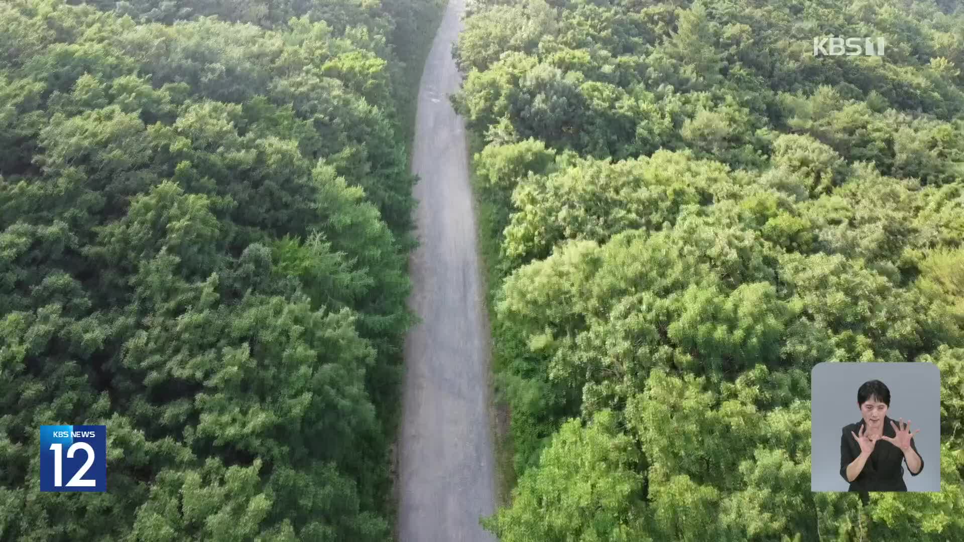 무더위 식히는 ‘운탄고도’…폐광지에서 관광 명소로!