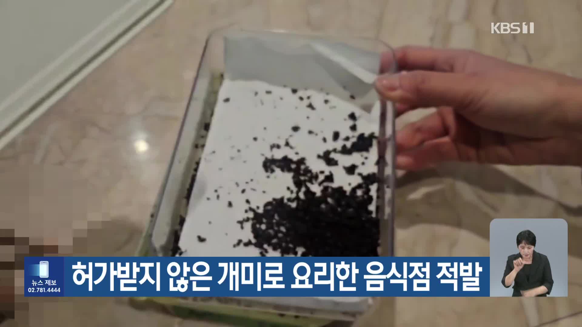 허가받지 않은 개미로 요리한 음식점 적발