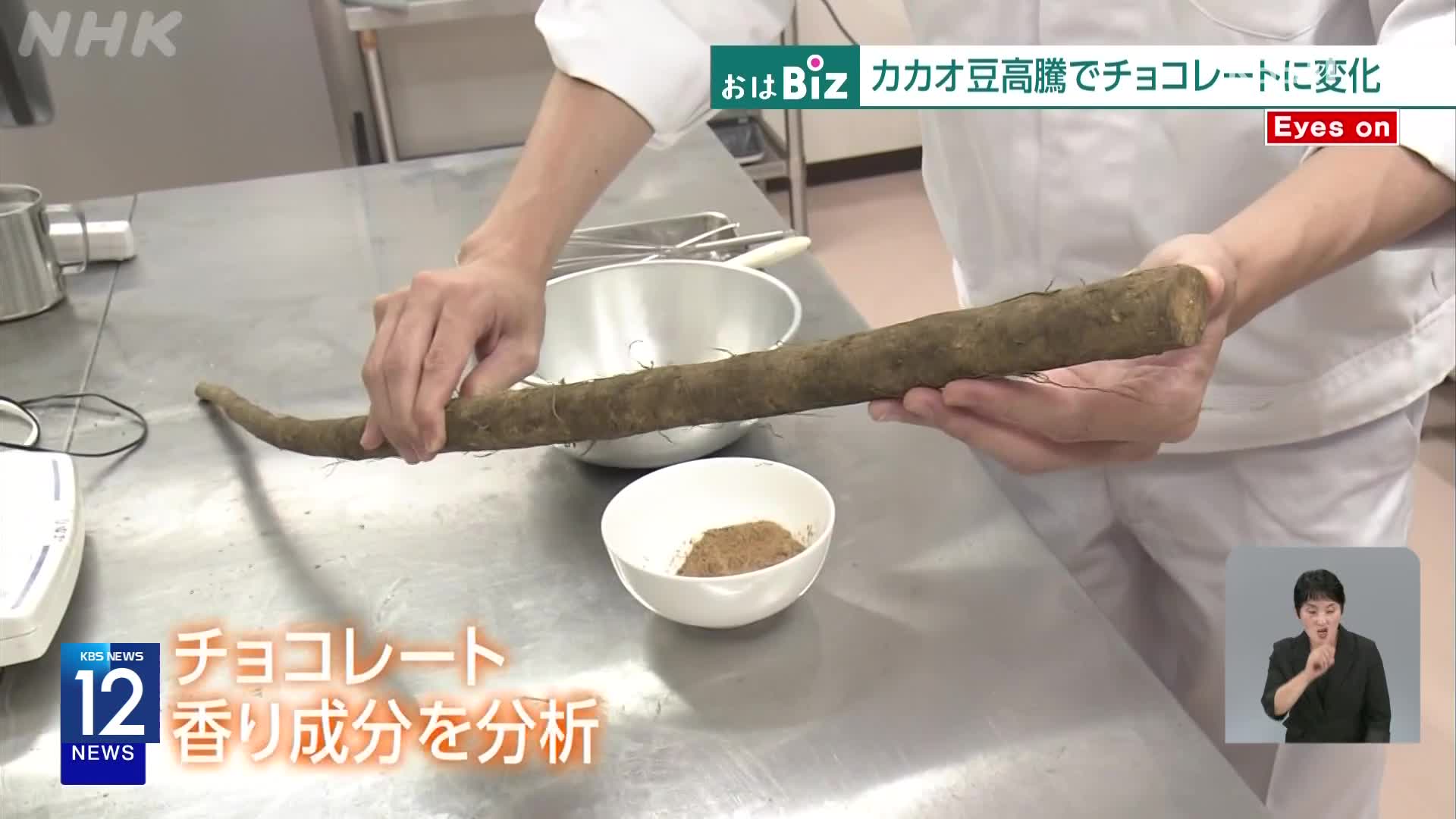 일본, 카카오 대신 우엉? 식품업계의 생존 실험