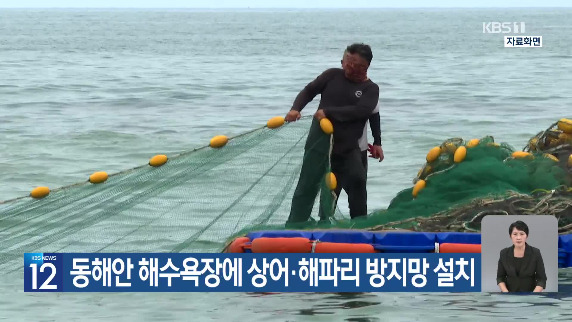 [기후는 말한다] 동해안 해수욕장에 상어·해파리 방지망 설치