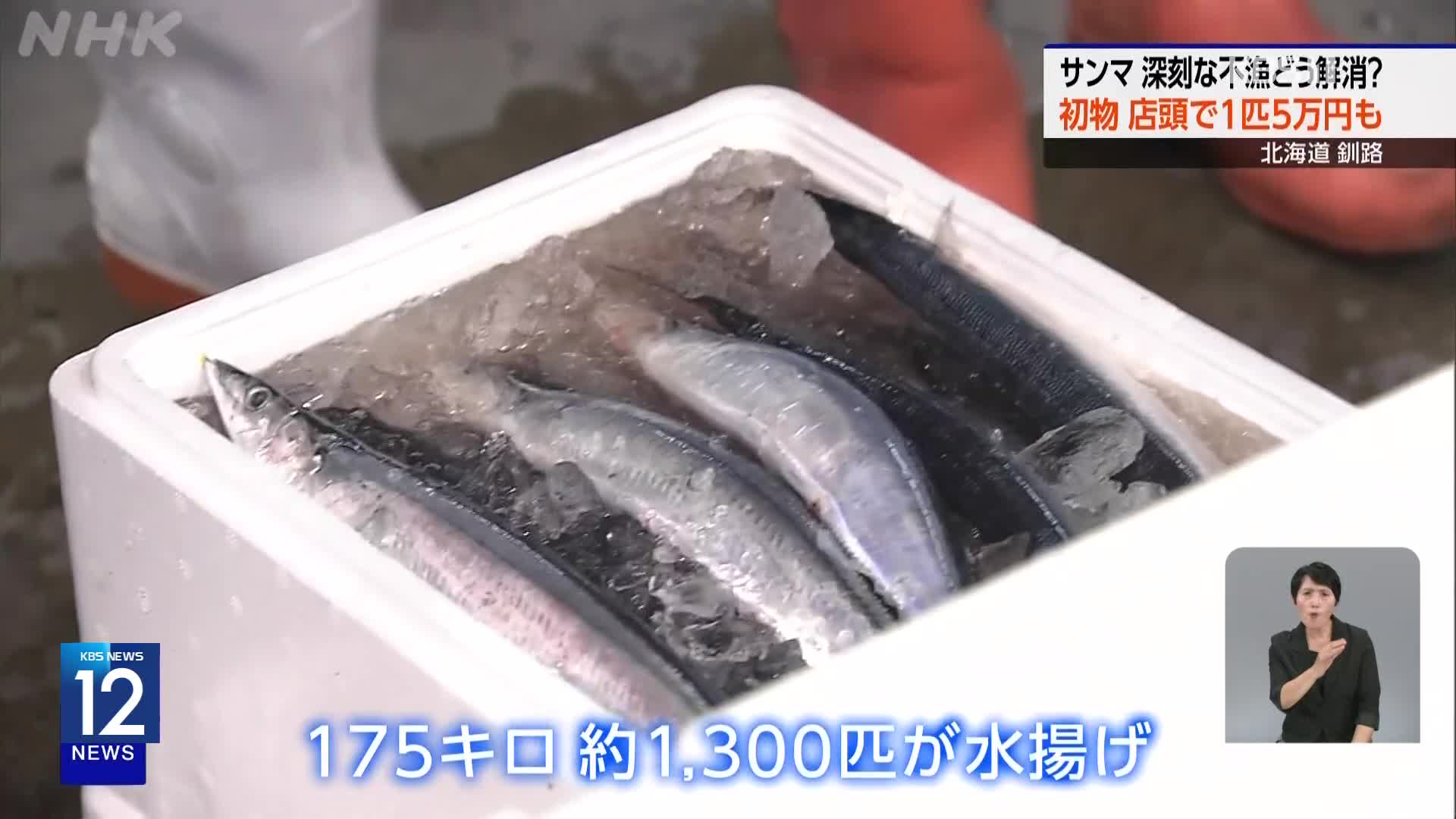 일본, 1kg에 230만 원…꽁치 어획량 급감에 가격 폭등
