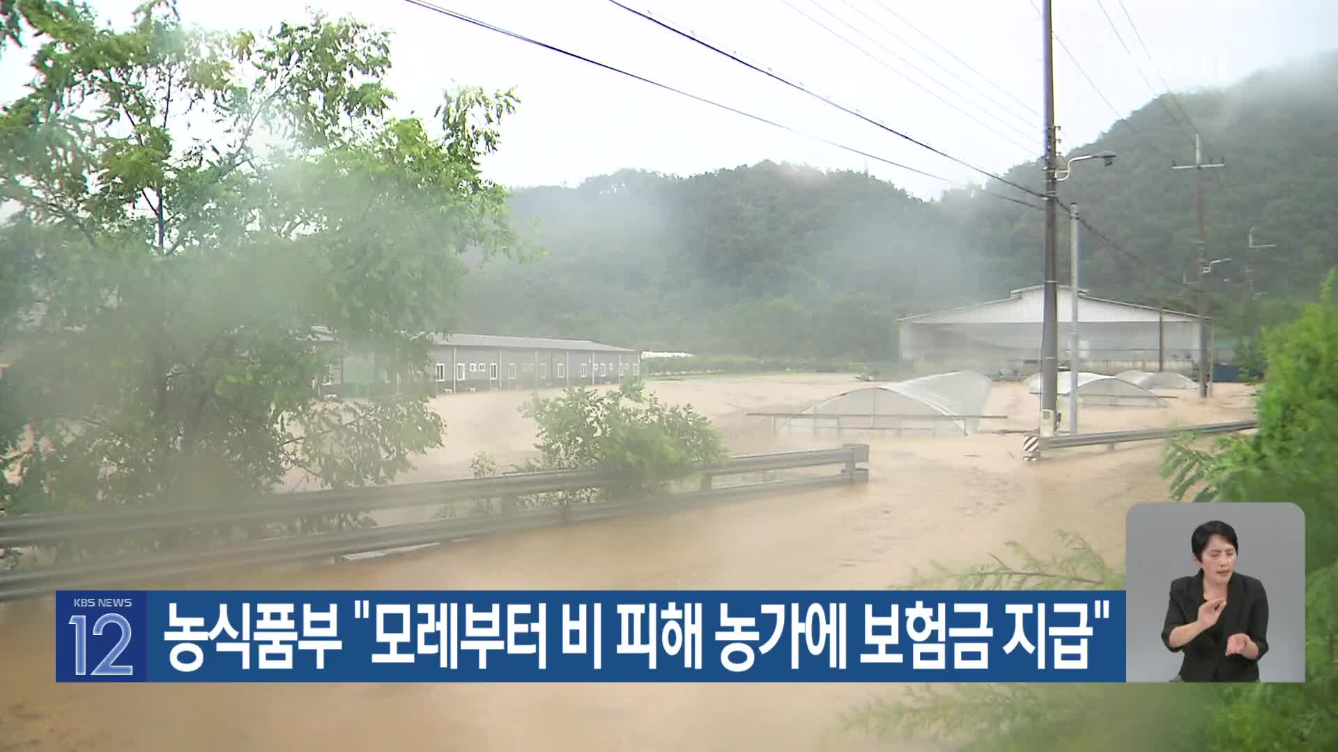 농식품부 “모레부터 비 피해 농가에 보험금 지급”