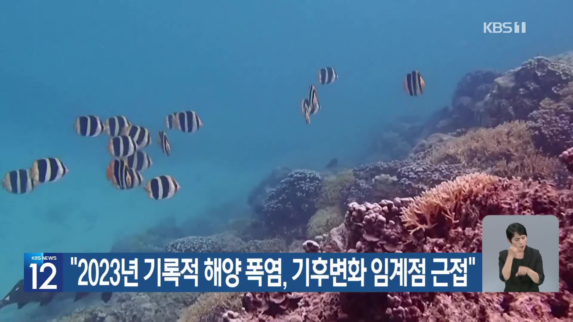 [기후는 말한다] “2023년 기록적 해양 폭염, 기후변화 임계점 근접”