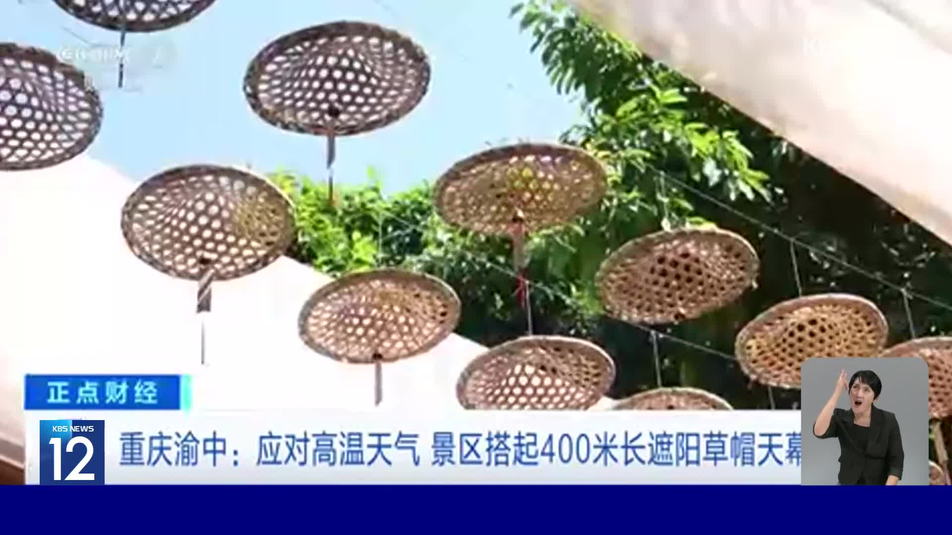 중국, 충칭의 여름 명소…400m 대나무 삿갓 길