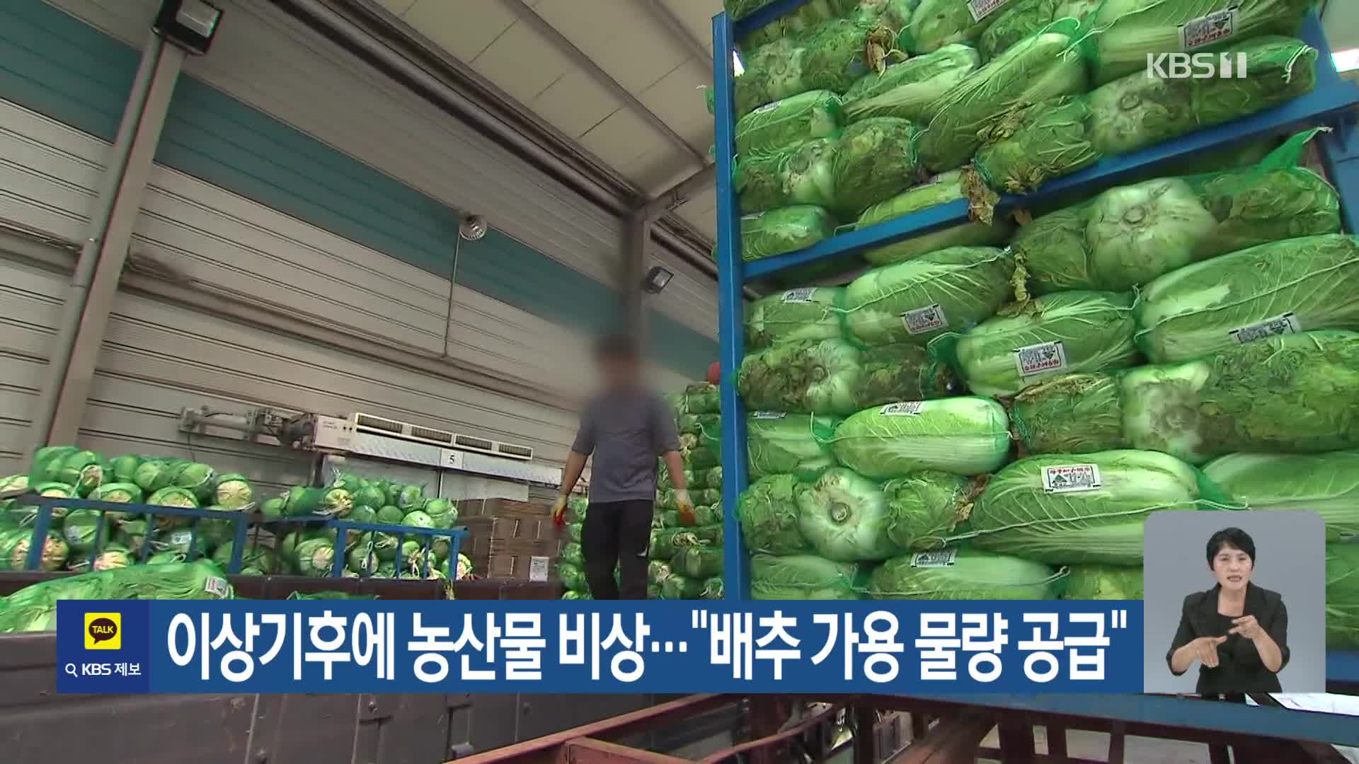 [기후는 말한다] 이상기후에 농산물 비상…“배추 가용 물량 공급”