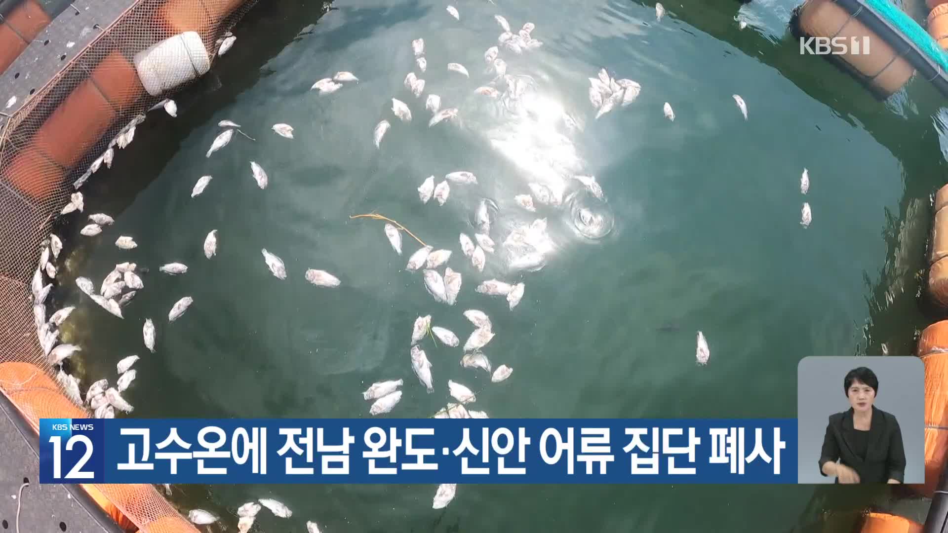 [기후는 말한다] 고수온에 전남 완도·신안 어류 집단 폐사