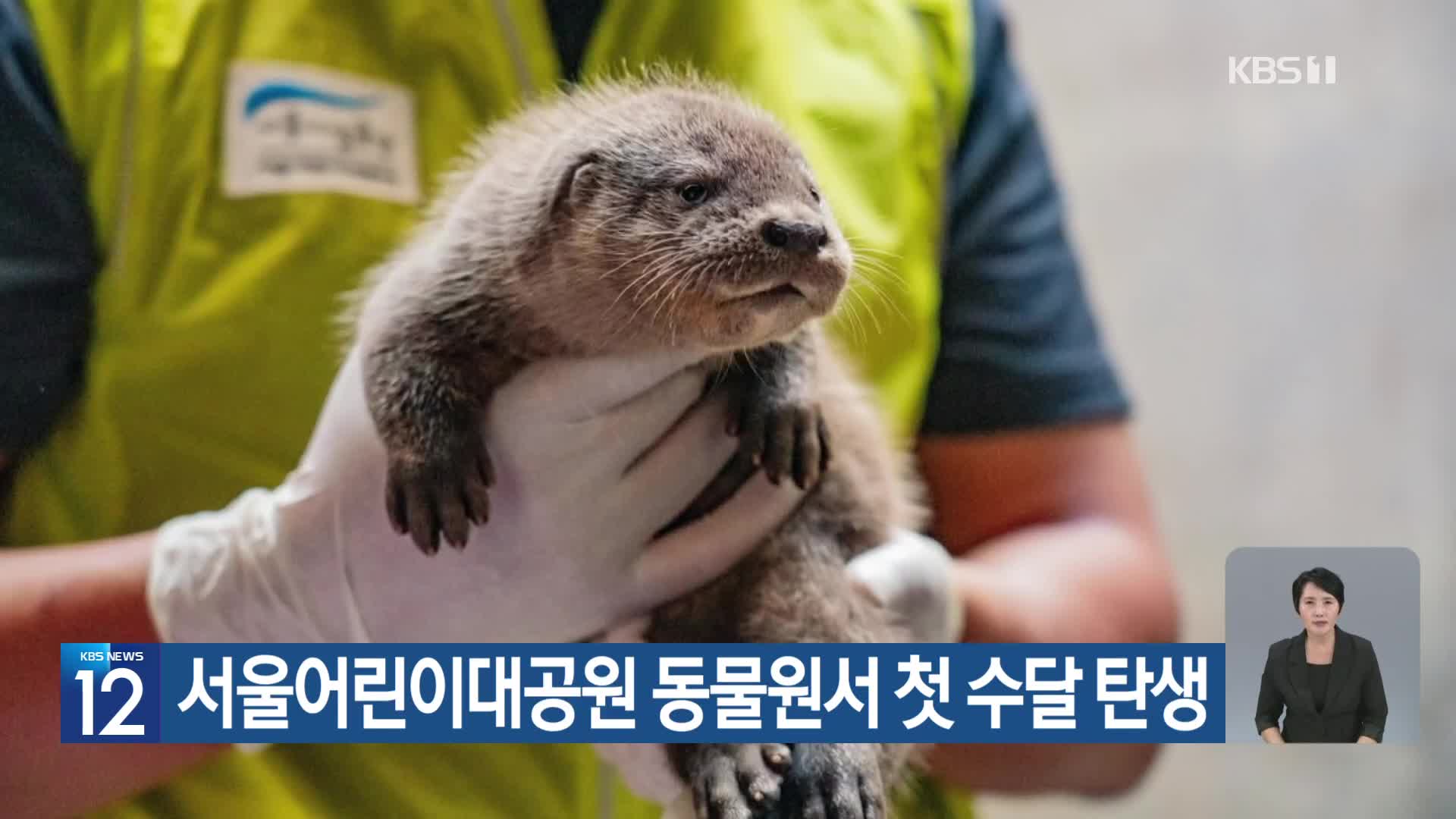 [기후는 말한다] 서울어린이대공원 동물원서 첫 수달 탄생