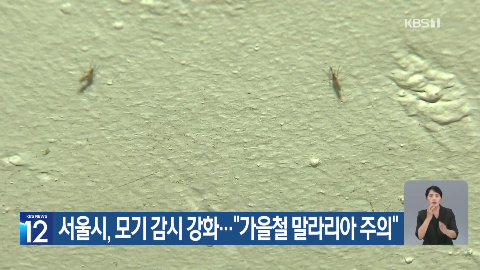 [기후는 말한다] 서울시, 모기 감시 강화…“가을철 말라리아 주의”