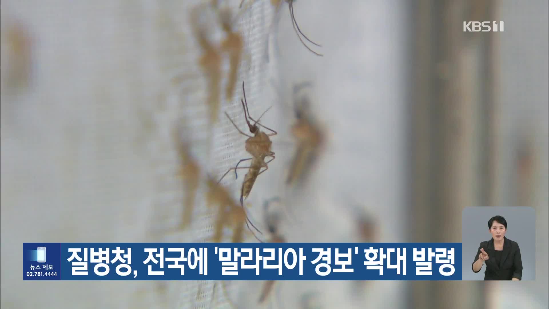 질병청, 전국에 ‘말라리아 경보’ 확대 발령