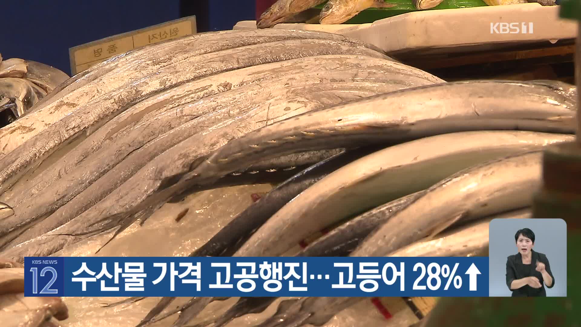 [기후는 말한다] 수산물 가격 고공행진…고등어 28%↑