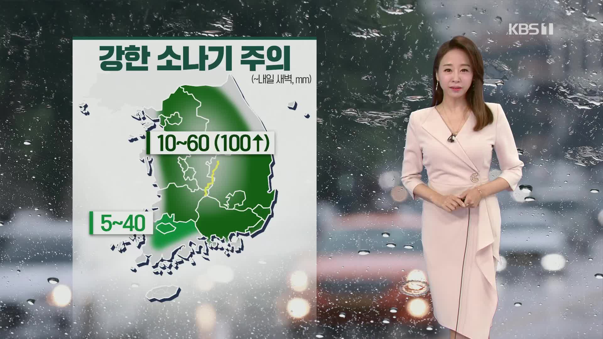 [오후날씨 꿀팁] 강한 소나기 주의하세요!