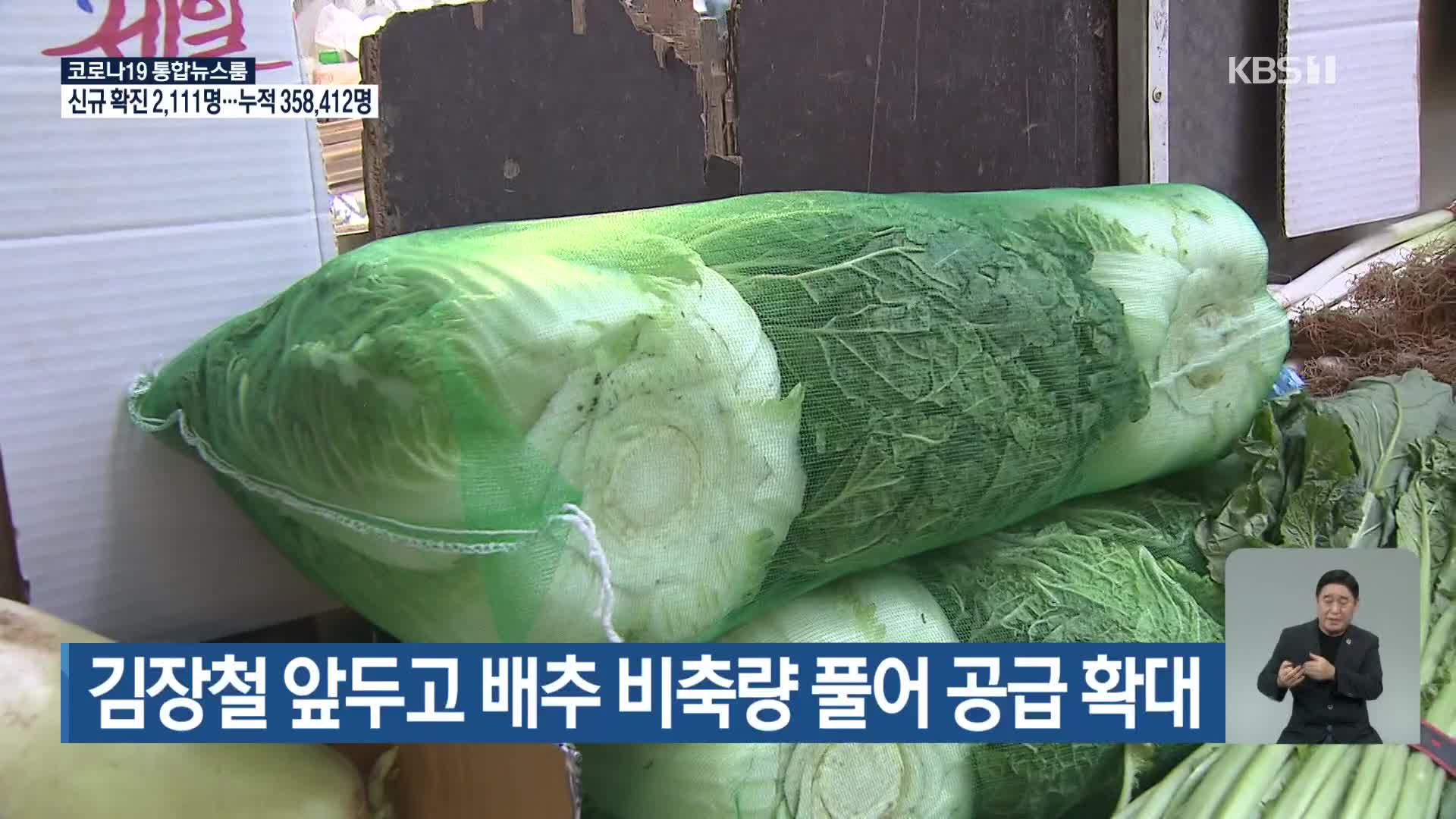 김장철 앞두고 배추 비축량 풀어 공급 확대