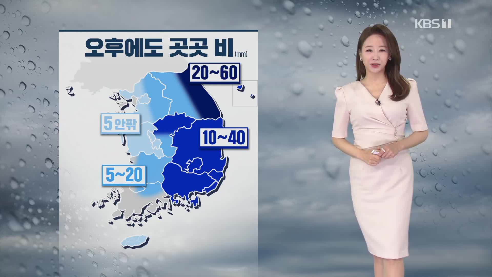 [날씨] 강원 영동 내일까지 최고 60mm…동해안 너울 주의