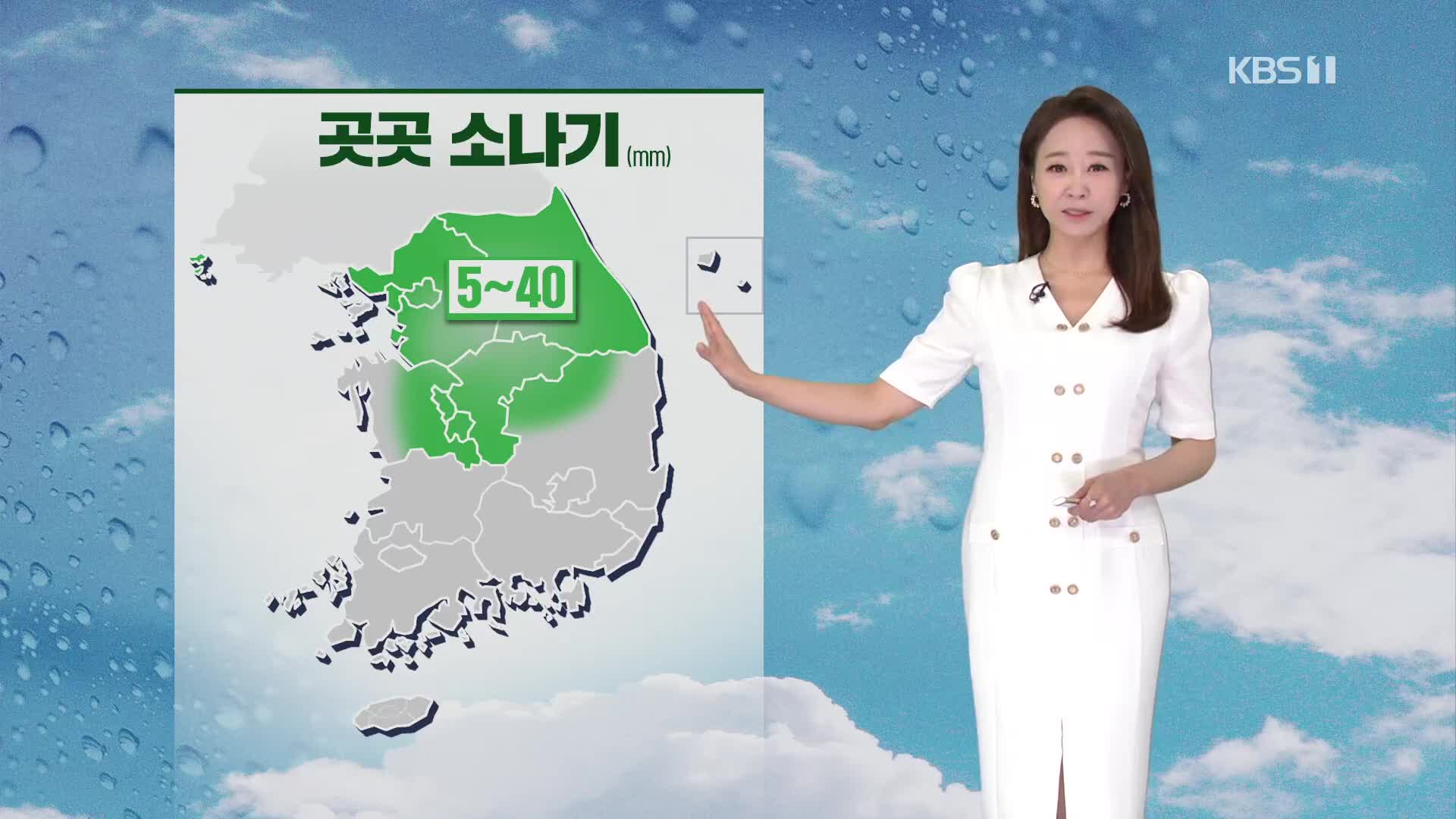 [오후날씨 꿀팁] 서울 소나기…내일 새벽까지 곳곳 소나기!